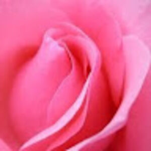 Meet your Posher, Turya